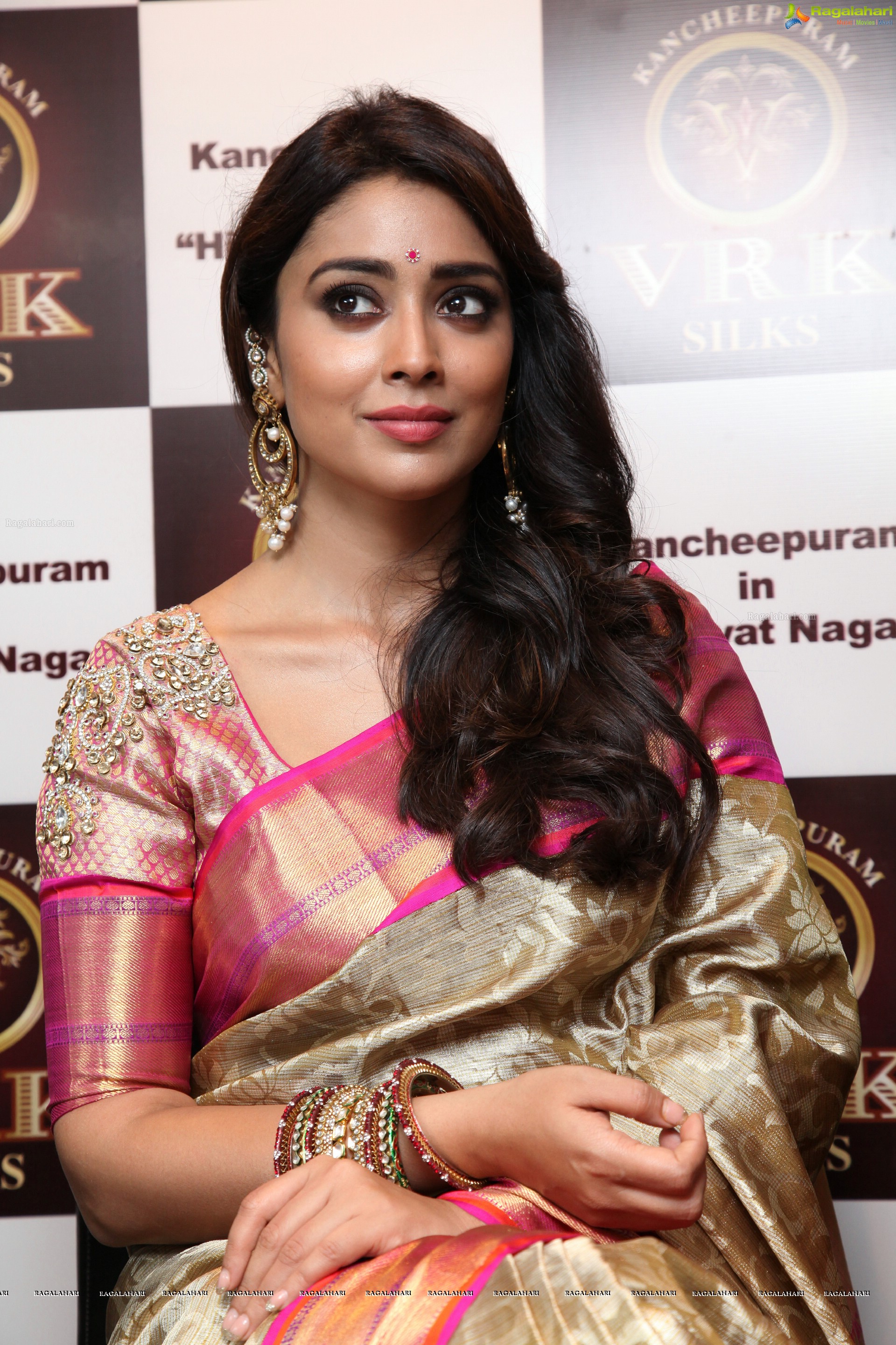 Shriya Saran - HD Gallery