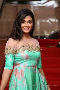 Anisha Ambrose