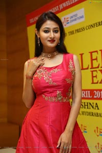 Nilofer Haidry HD Photos