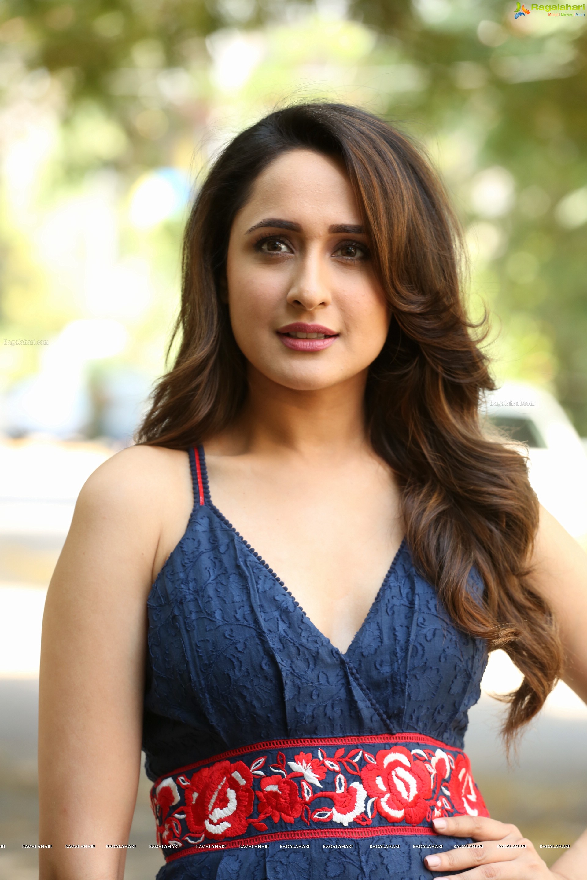 Pragya Jaiswal (High Definition)