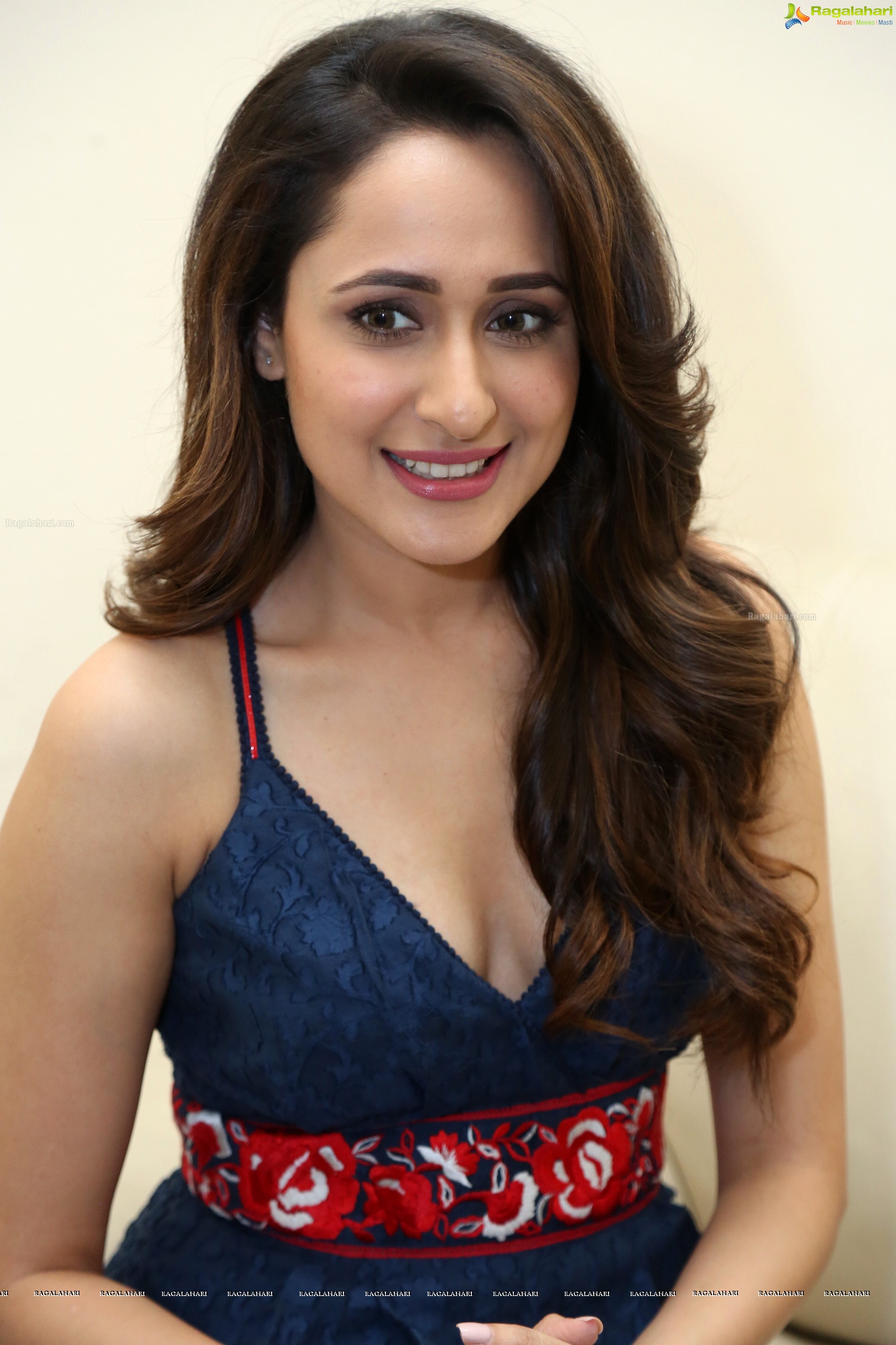 Pragya Jaiswal (High Definition)