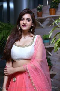 Sita Narayan Pink Designer Lehenga Choli