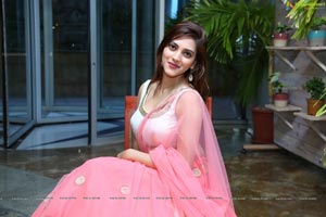 Sita Narayan Pink Designer Lehenga Choli