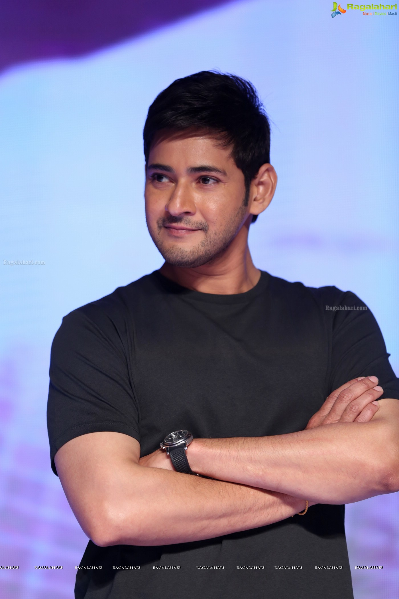 Mahesh Babu at Bharat Blockbuster Celebrations (Posters)