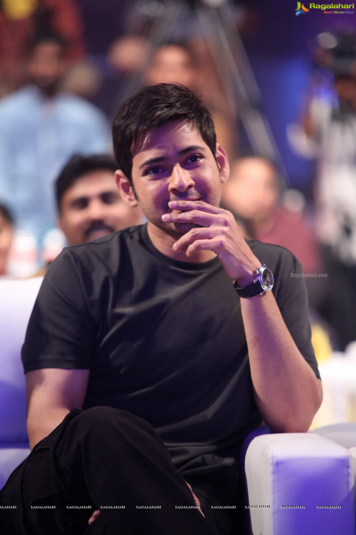 Mahesh Babu at Bharat Blockbuster Celebrations (Posters)