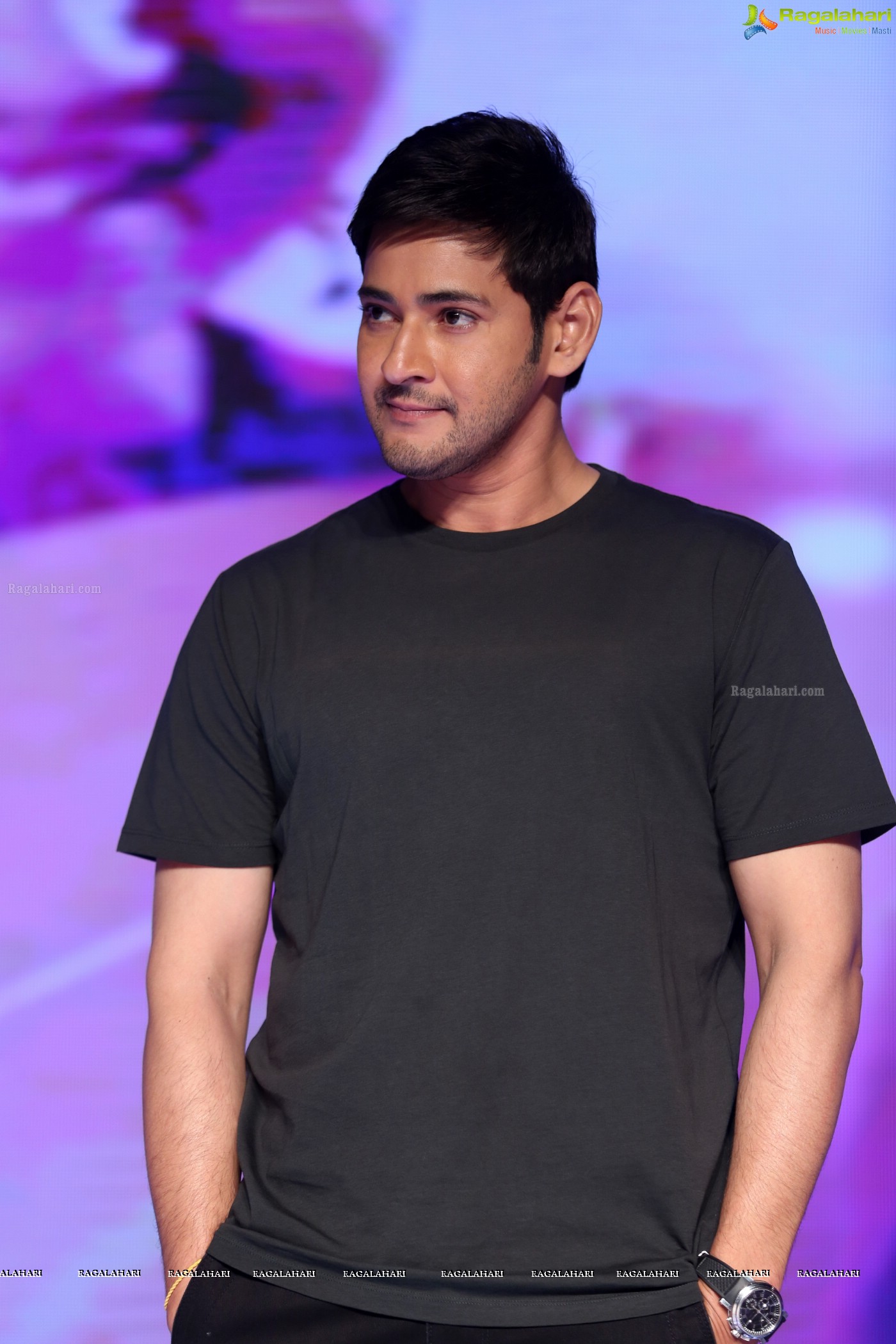 Mahesh Babu at Bharat Blockbuster Celebrations (Posters)