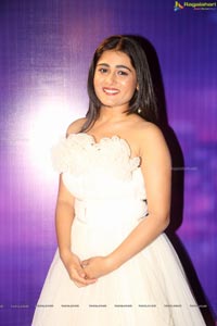 Shalini Pandey @ Zee Apsara Awards 2018