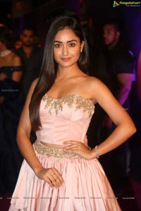 Tridha Choudary at Zee Apsara Awards