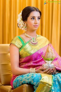 Sanjjanaa Galrani in Saree