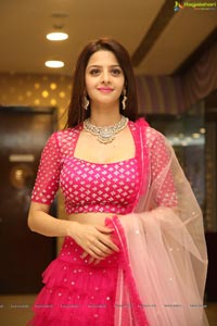 Vedhika @ Kanchana 3 Sucessmeet