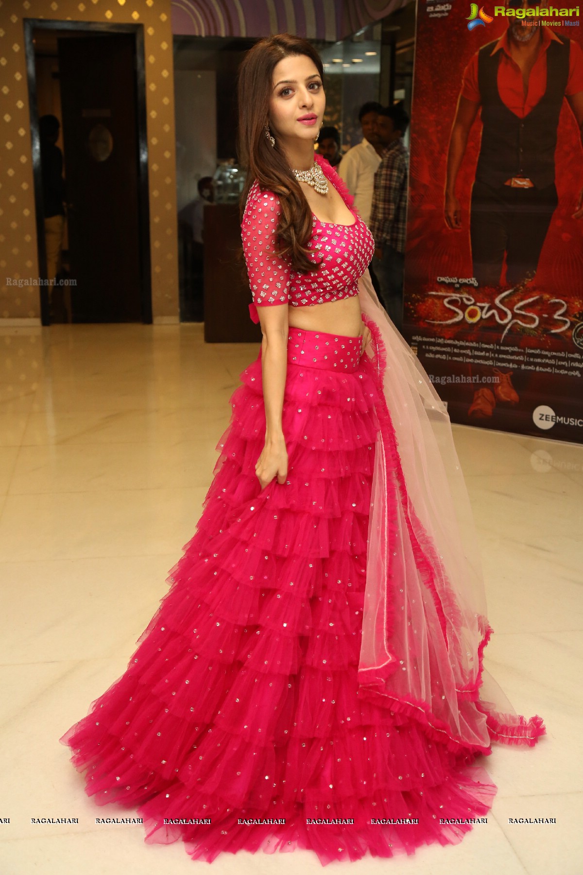 Vedhika at Kanchana 3 Success Meet