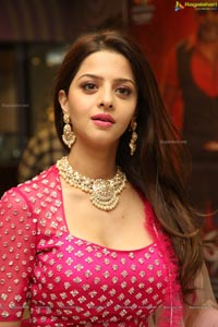 Vedhika @ Kanchana 3 Sucessmeet