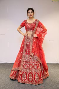 Andleeb Zaidi Showcases Mebaz's Wedding Collection