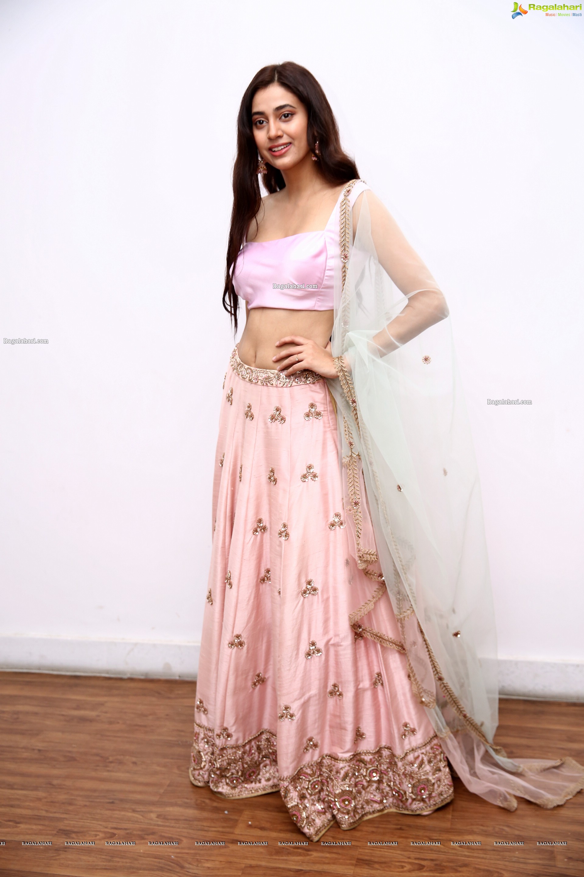 Andleeb Zaidi in Light Pink Lehenga, HD Photo Gallery