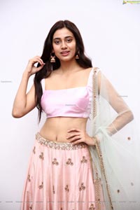 Andleeb Zaidi in Light Pink Lehenga