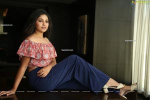 Anjali at Vakeel Saab Movie Interview