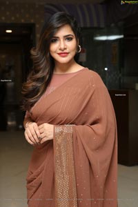 Ashu Reddy in Alluring Light Broun Saree