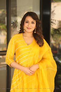 Catherine Tresa Gorgeous Stills in Yellow Churidar