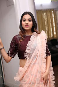 Dimple Thakur in Light Peach Ruffle Saree