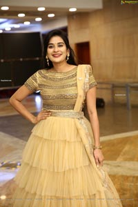 Jenny Honey in Beige Layered Lehenga Choli