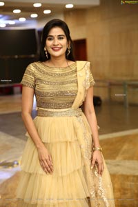 Jenny Honey in Beige Layered Lehenga Choli