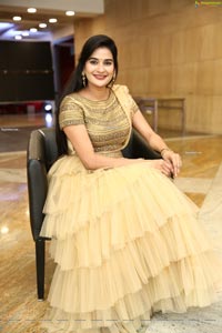 Jenny Honey in Beige Layered Lehenga Choli