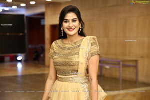 Jenny Honey in Beige Layered Lehenga Choli