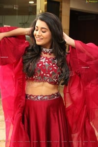 Rashi Singh Latest Photoshoot Stills