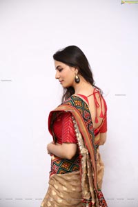 Tejal Tammali Gorgeous Stills in Silk Saree
