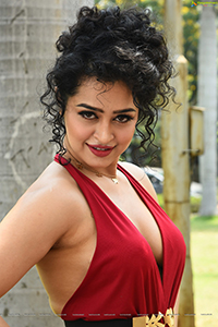 Apsara Rani HD Photo Gallery