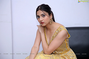 Dimple Thakur Latest Photoshoot