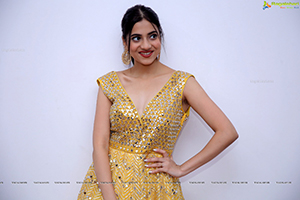 Dimple Thakur Latest Photoshoot