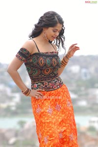 Bindu Madhavi