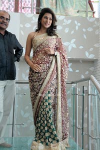 Shraddha Das in Designer Saree