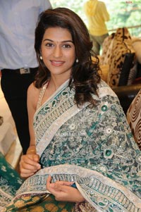 Shraddha Das in Designer Saree