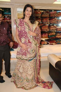 Shraddha Das in Designer Saree