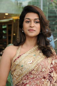 Shraddha Das in Designer Saree