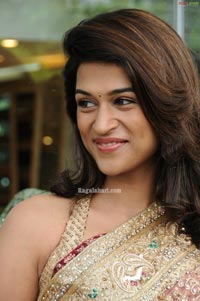 Shraddha Das in Designer Saree