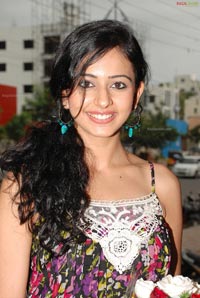 Rakul Preet Singh at Creamstone