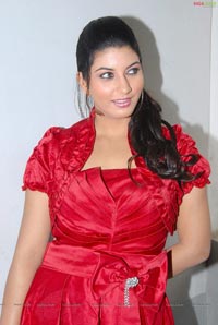 Sarah Sharma at Neeku Naaku Madhya Press Meet