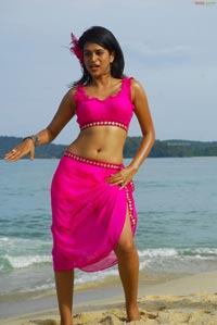 Shradha Das Photo Gallery from Mugguru