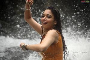 Tamanna 