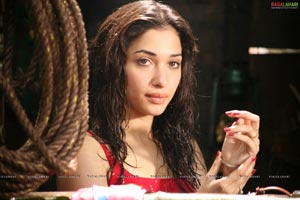 Tamanna 