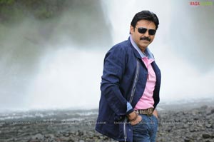 Venkatesh Total Movie Stills