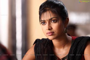 Amala Paul in Nayak HD Photos