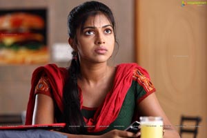 Amala Paul in Nayak HD Photos