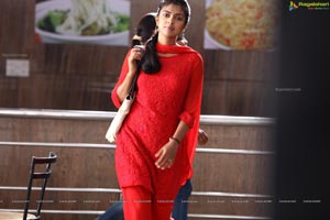 Amala Paul in Nayak HD Photos