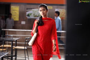 Amala Paul in Nayak HD Photos