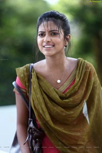 Amala Paul in Nayak HD Photos