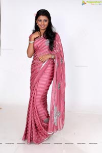 Beautiful Model Rakshitha in Saree